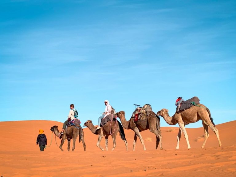 Visiting the Sahara desert in Morocco: How to choose the right tour for you