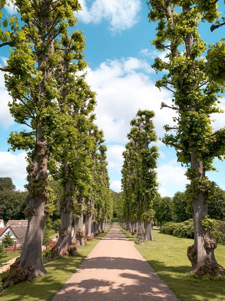 Pathways in the Baroque garden of Frederiksborg Castle