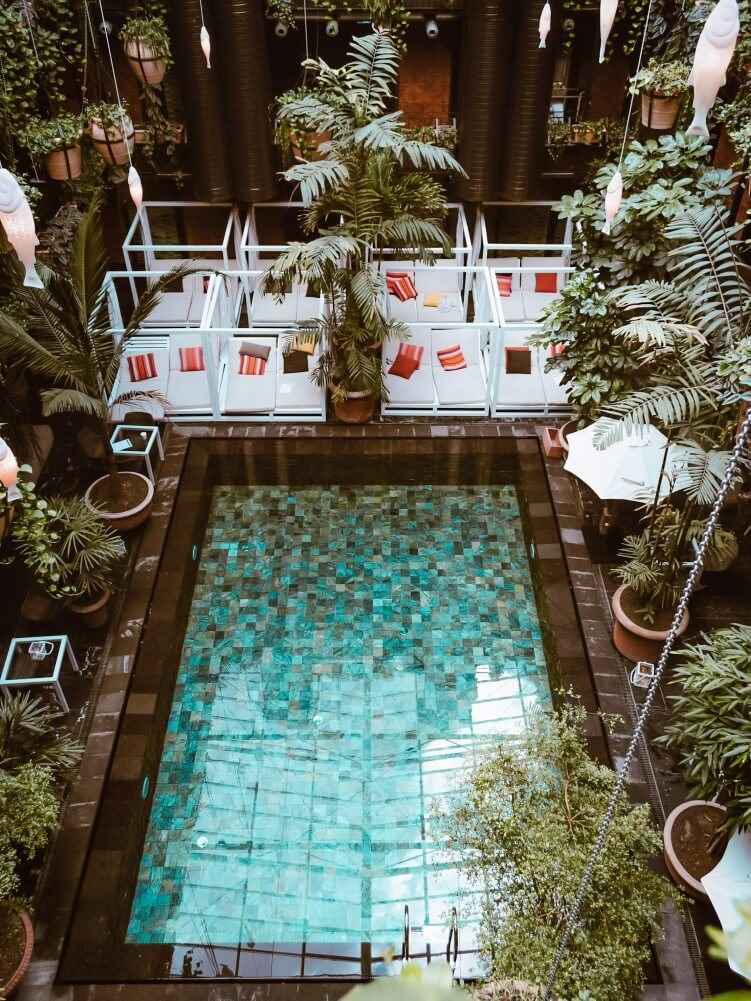 A turquoise pool surrounded by green plants and white pool chairs.