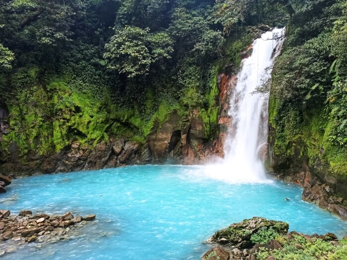 The stunning Rio Celeste waterfall and bright blue pool of water surrounded by rainforest, one of the highlights of this 10 day Costa Rica itinerary
