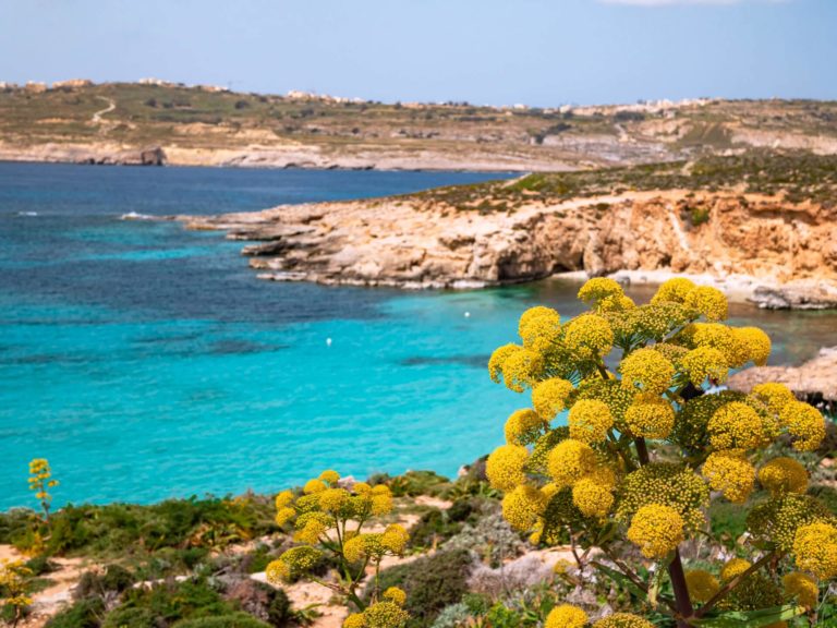 A week in Malta: The perfect 7-day Malta itinerary