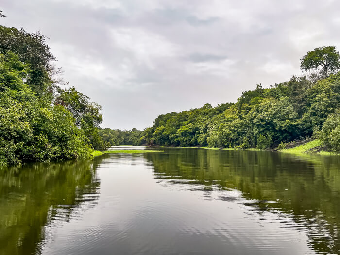 Visiting Brazil's  rainforest