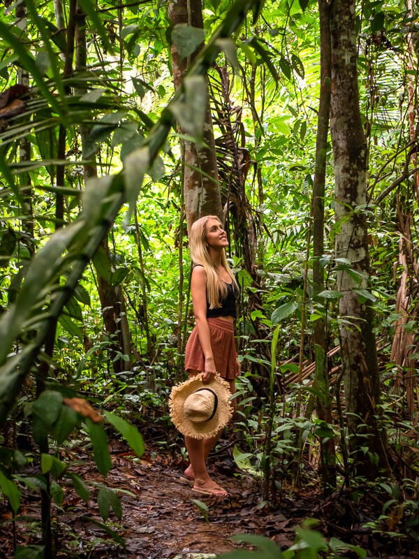 How to visit the  rainforest in Brazil: A complete guide