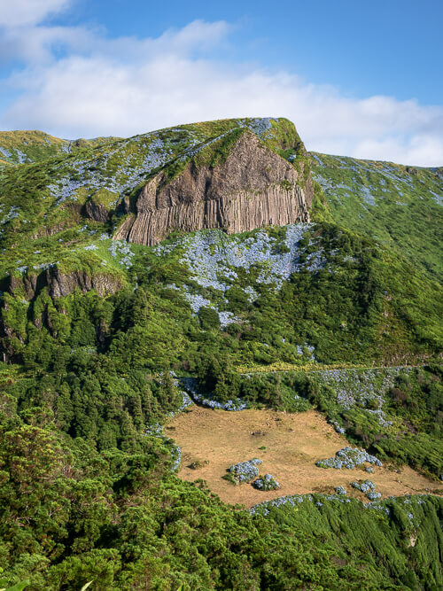 Tall vertical basalt formations of Rocha dos Bordoes surrounded by slopes covered with blue flowers and greenery