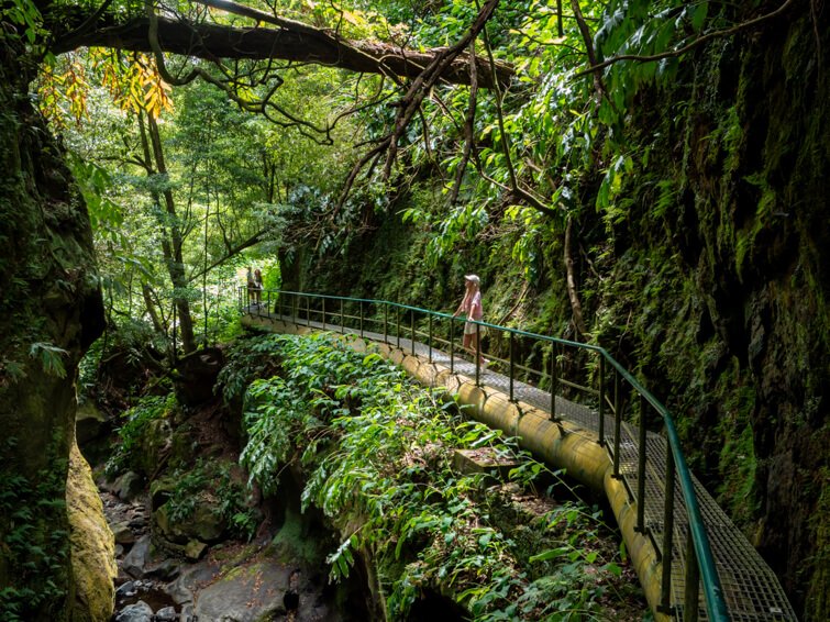 Me on the trail above Salto do Cabrito waterfall, in a canyon covered with dense vegetation, one of the best Sao Miguel hikes. 