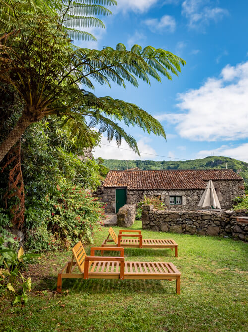 Two sunbeds under a giant tree fern in the garden of our traditional stone cottage in Aldeia da Cuada.