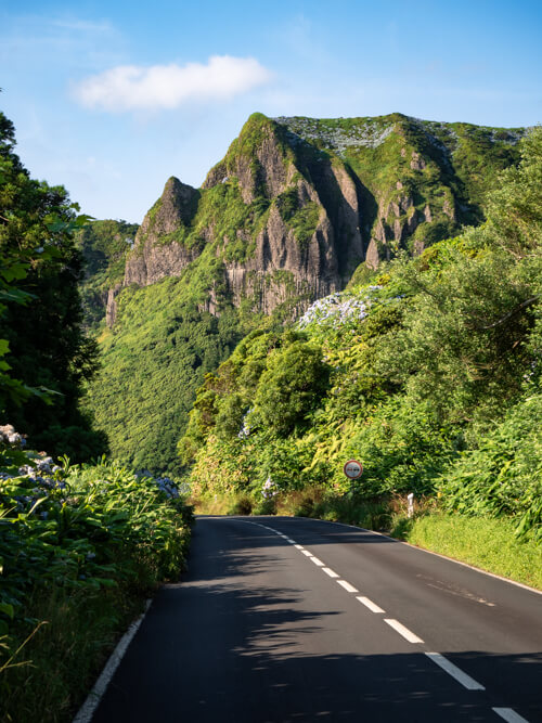 A small road surrounded by abundant green vegetation and a mountain with pointy peaks in the background. 